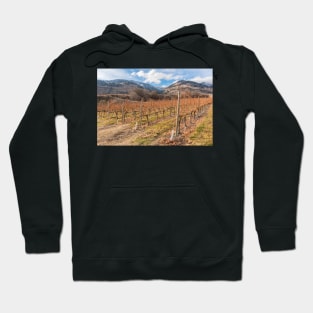 Winter Vineyard and Snowy Mountains - Oliver, BC, Canada Hoodie